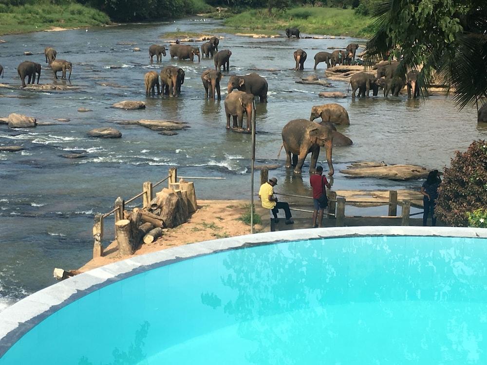 Hotel Elephant Bay