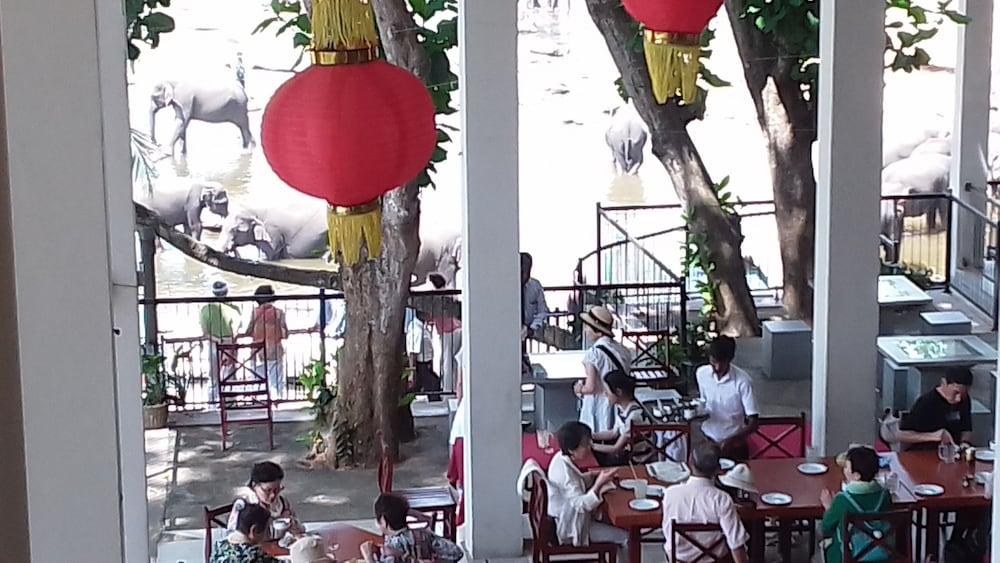 Hotel Elephant Bay