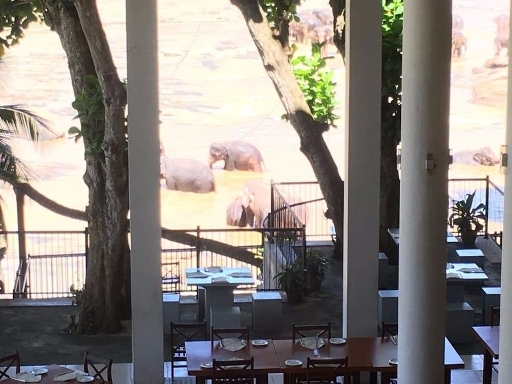 Hotel Elephant Bay