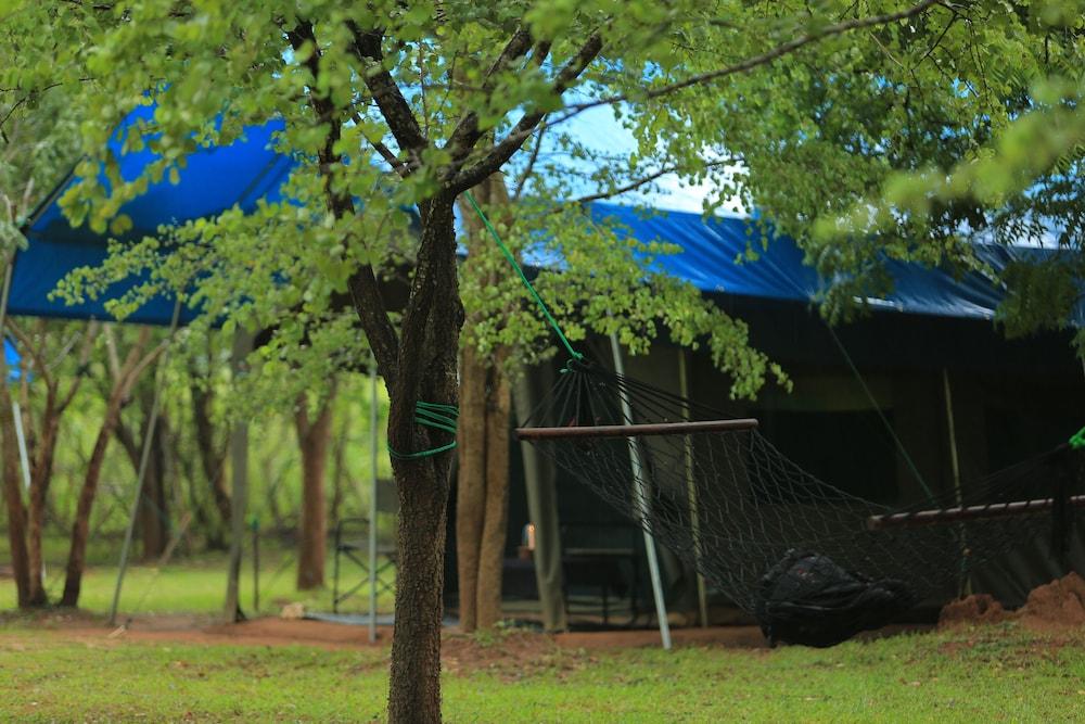 Big Game - Udawalawe By Eco Team