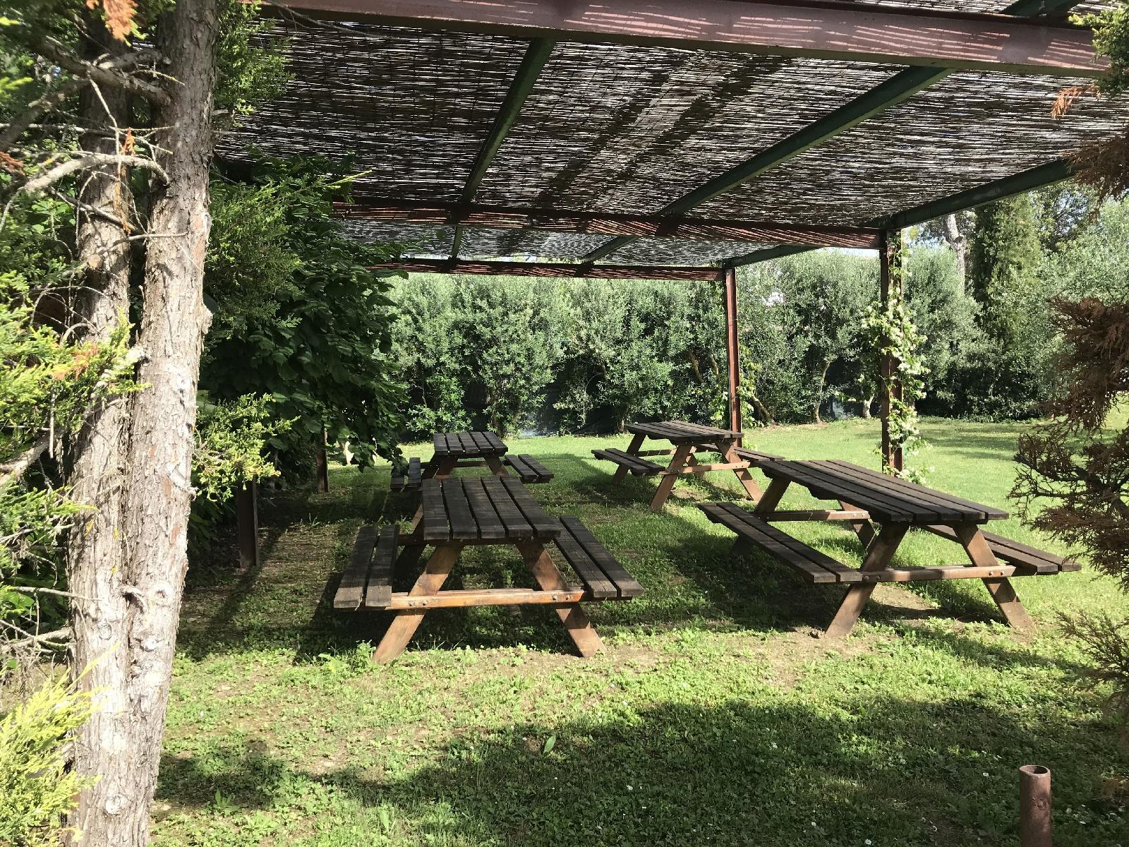 Il Pettirosso B&B
