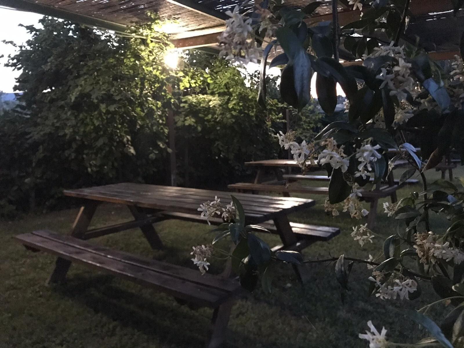 Il Pettirosso B&B