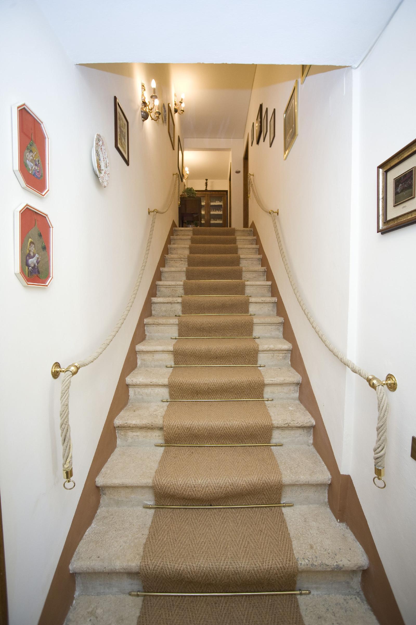 Il Pettirosso B&B
