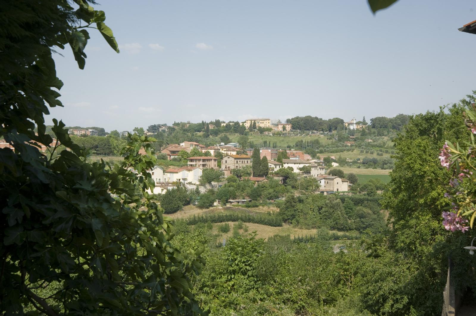 Il Pettirosso B&B