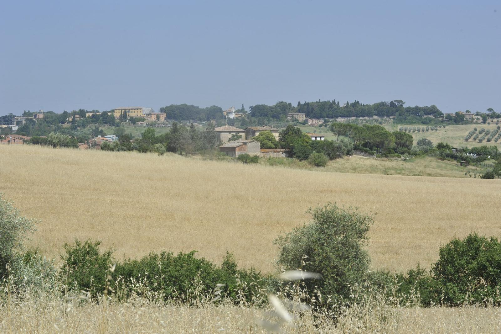 Il Pettirosso B&B