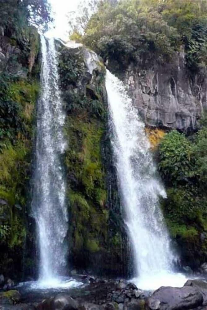 Ariki Backpackers