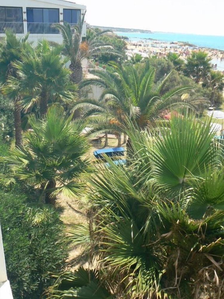 Al Gabbiano sul Mare