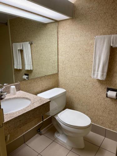Budget Inn