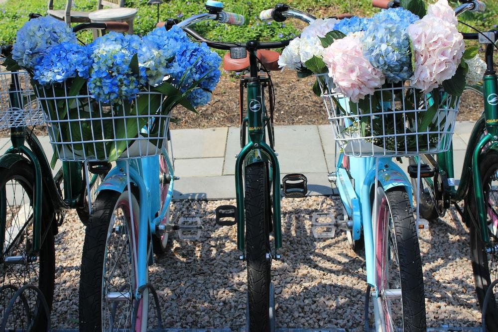 Saybrook Point Inn Marina & Spa