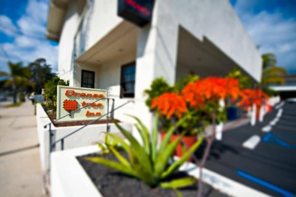 Orange Tree Inn