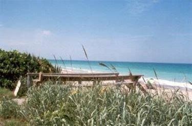 Oceanfront Paradise Resort