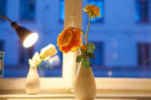 Lilla Brunn Hostel