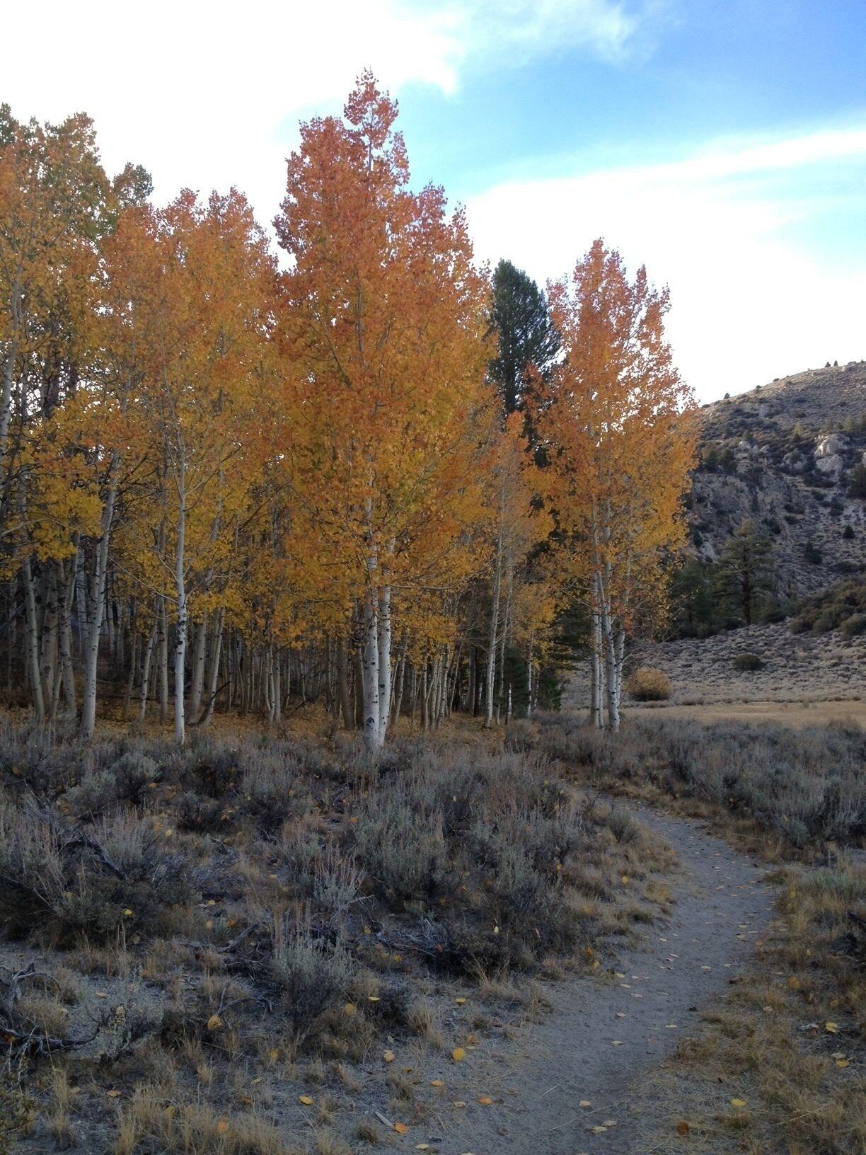 June Lake Villager
