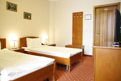 Hermes Alba Iulia