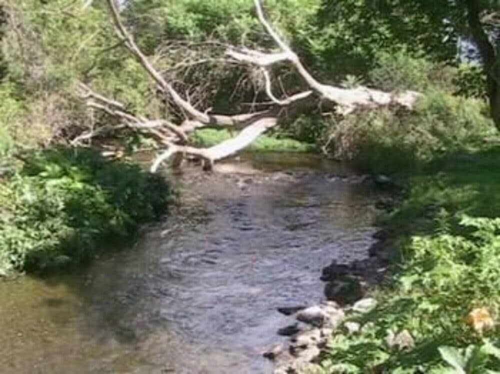 Hayden Creek Inn