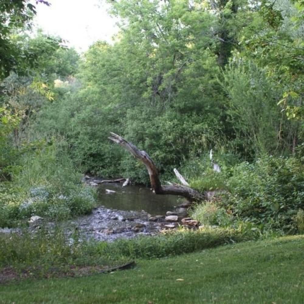 Hayden Creek Inn