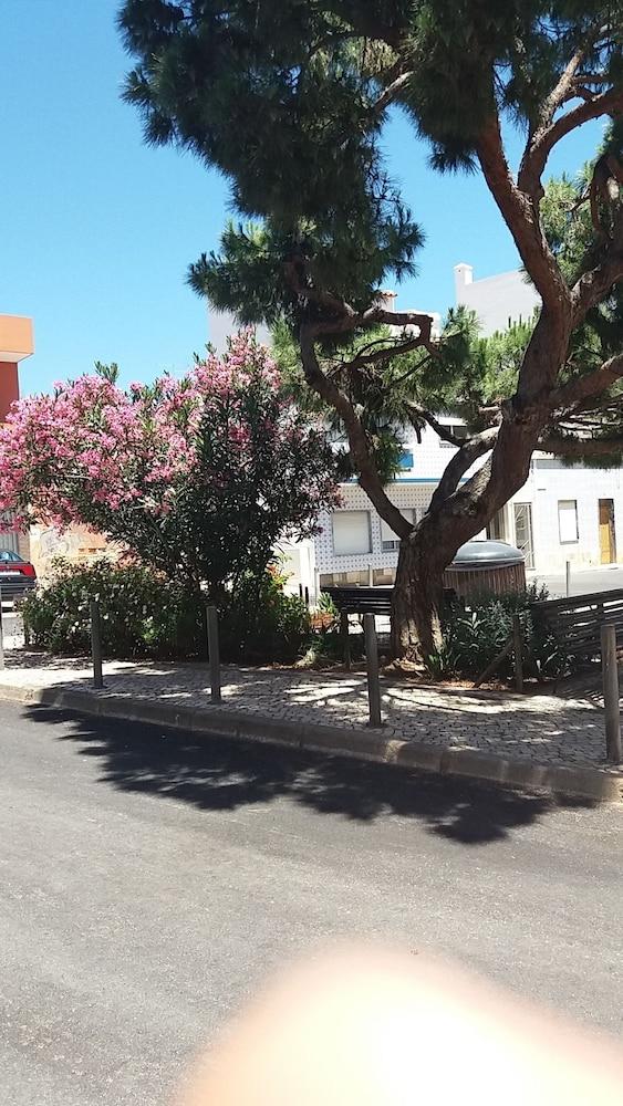 Hostel Pacífica