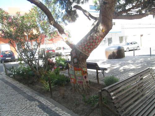 Hostel Pacífica