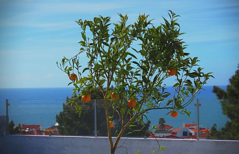 Residencia Praia Norte