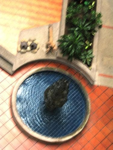 Hotel Reforma Tuxpan