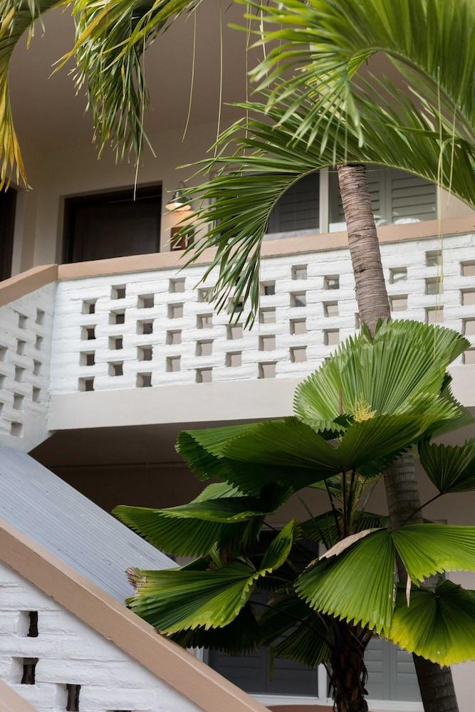 Crane's Beach House