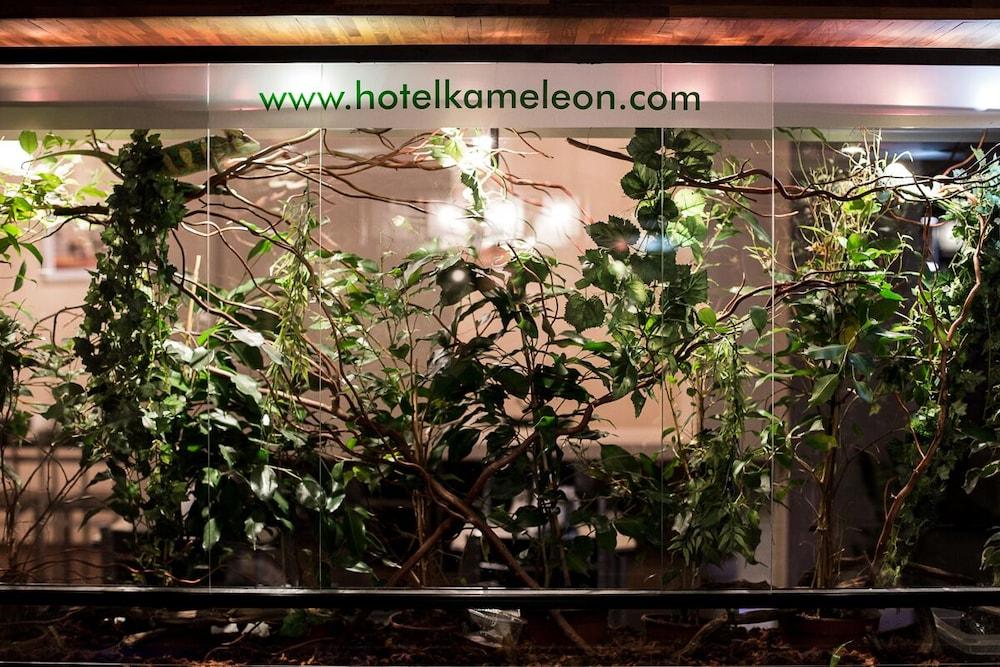 Kameleon Hotel & Spa