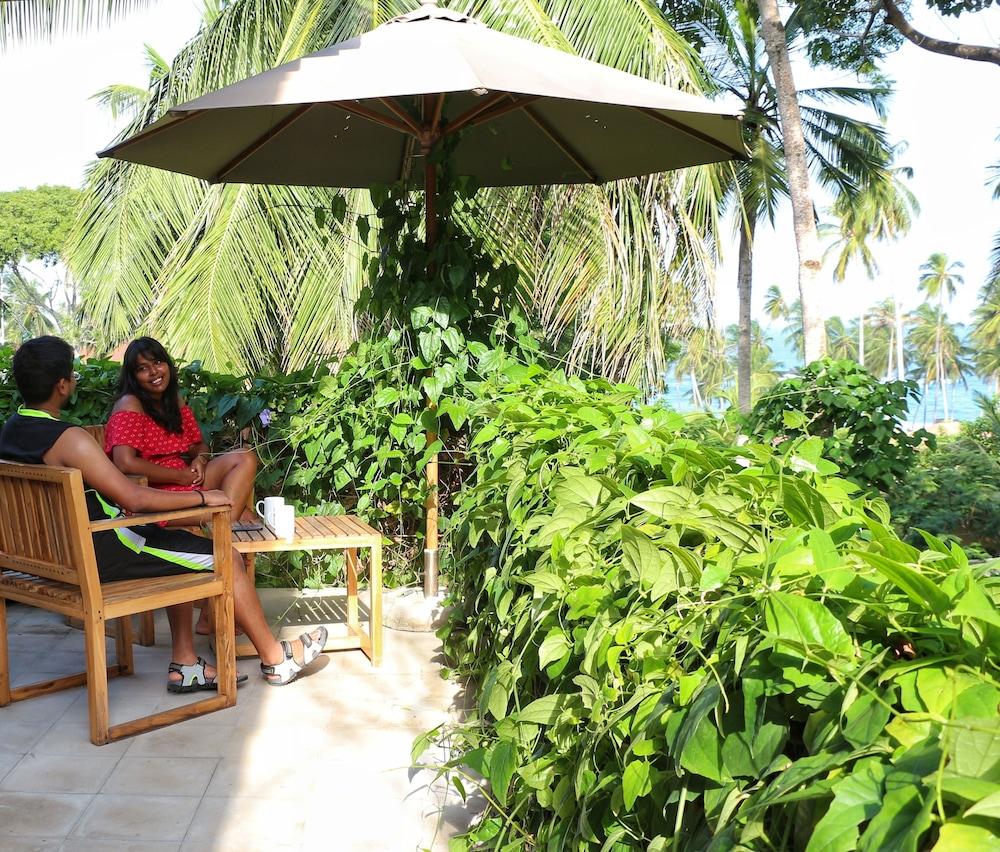 Palm Paradise Cabanas