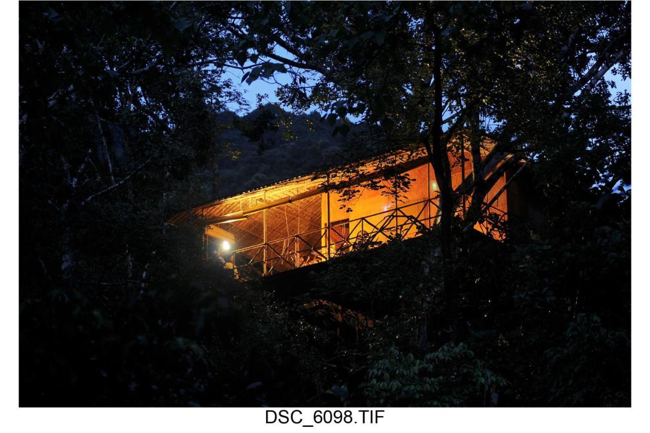 Vythiri Resort