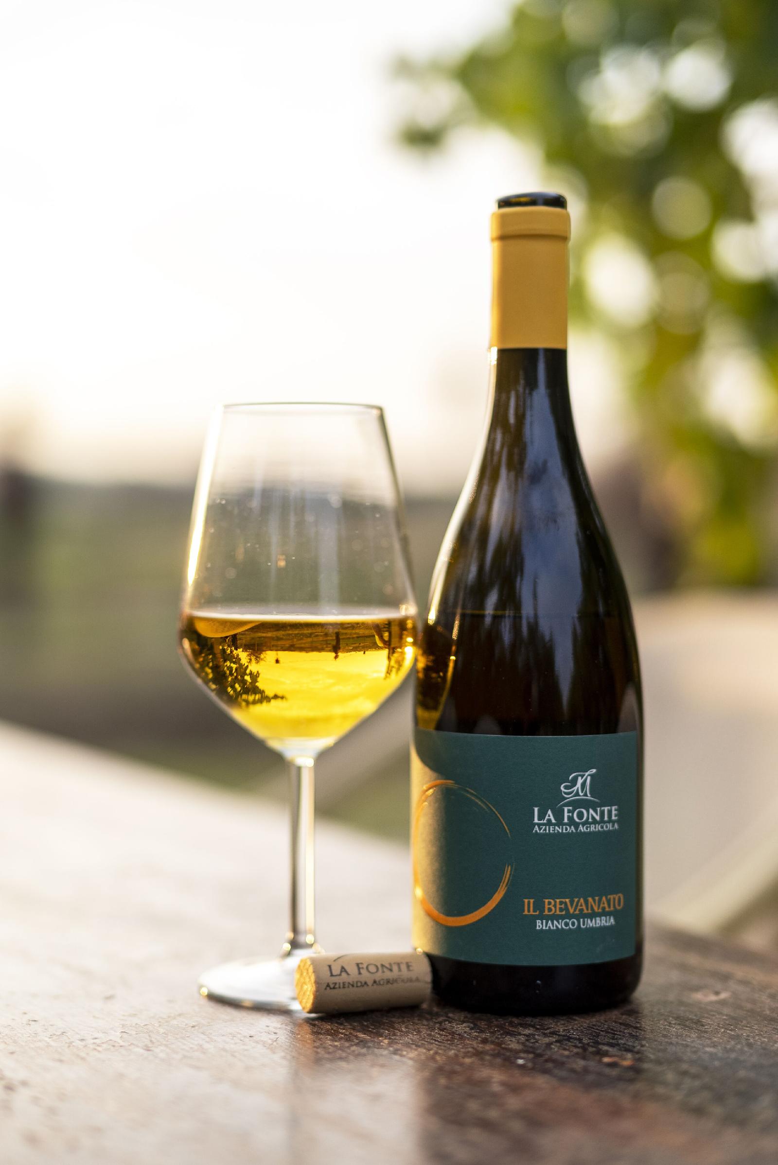 Agriturismo La Fonte