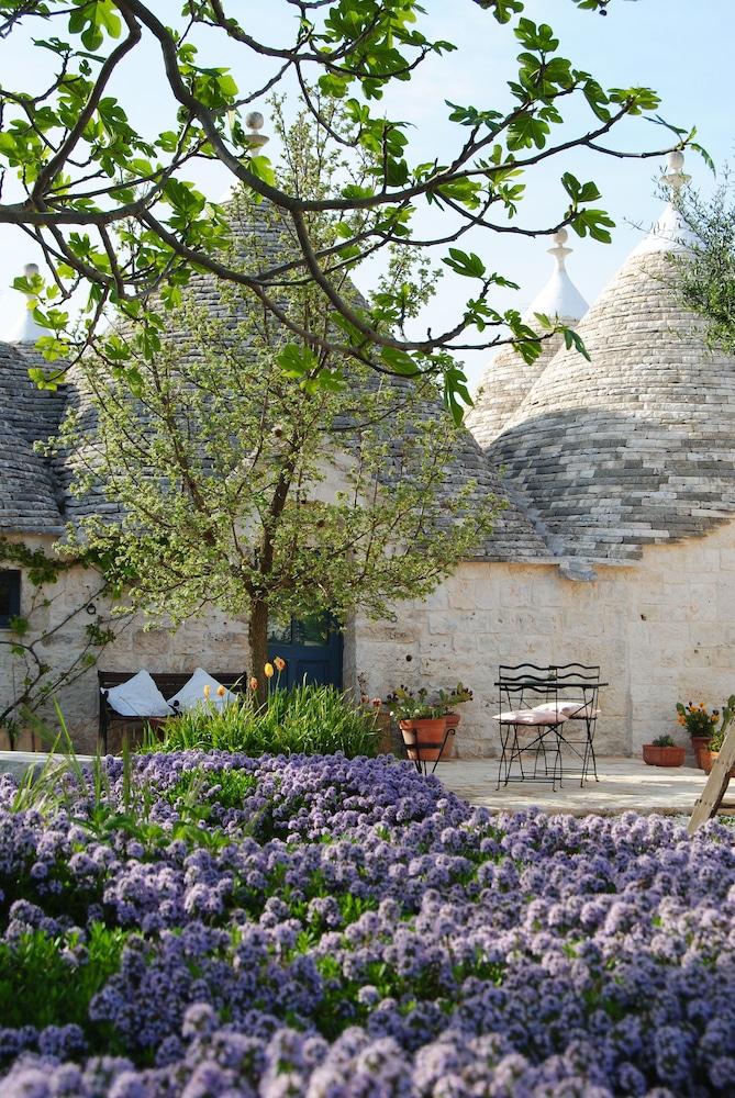 Trulli Gallo Rosso