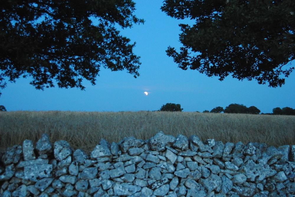 Trulli Gallo Rosso