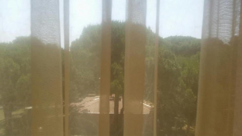 Sole