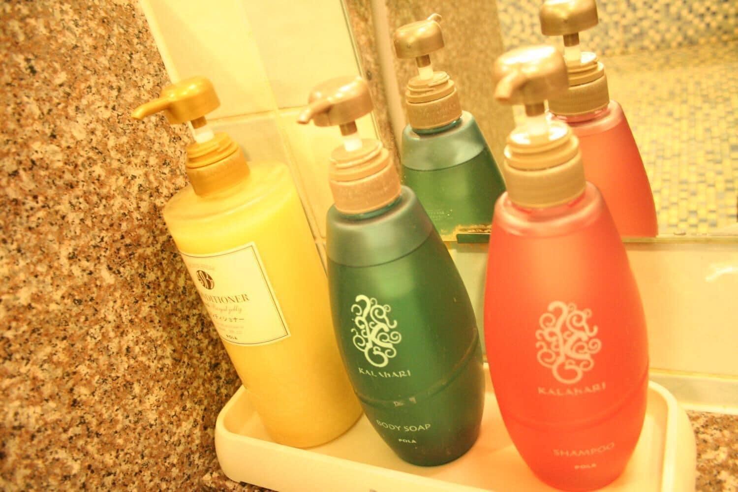 Showa Hotel Naito
