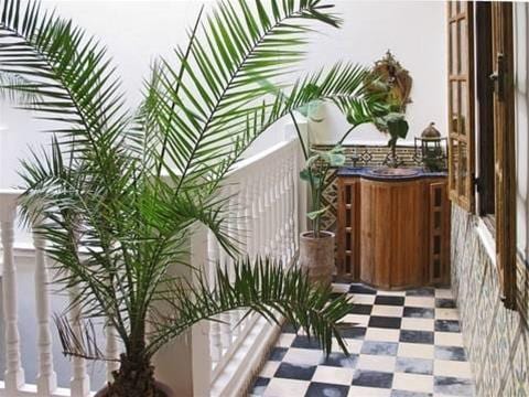 Riad de la Mer