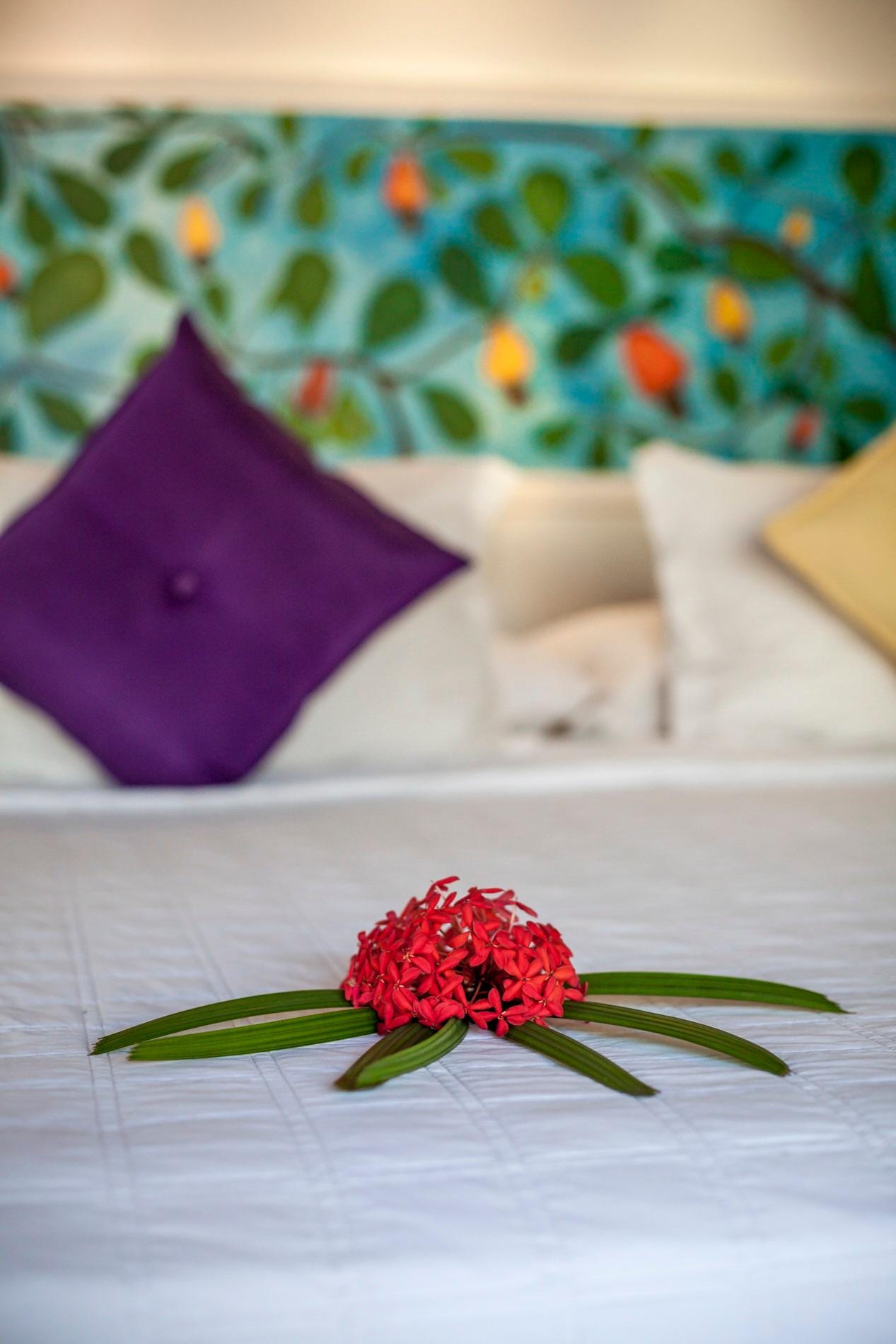 Sombra e Agua Fresca Resort