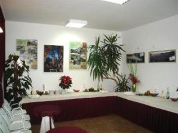 Villa Vicko