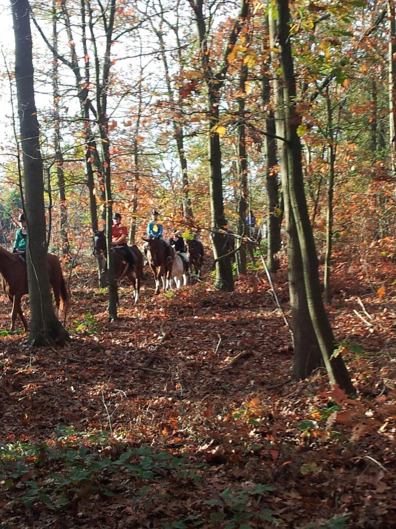 Erve Hulsbeek