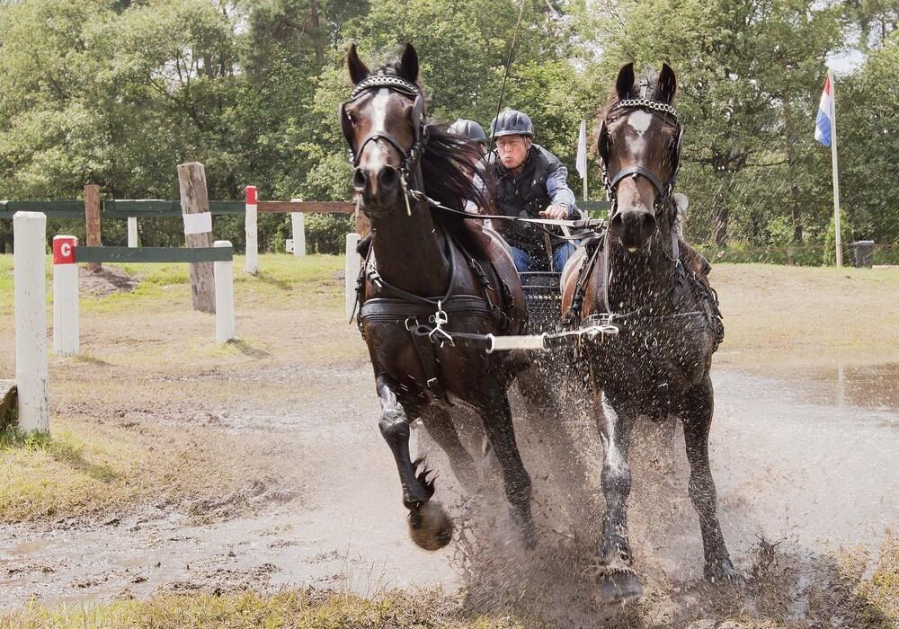 Erve Hulsbeek