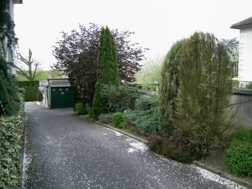 Hotel Belvedere