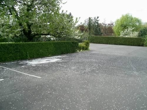 Hotel Belvedere