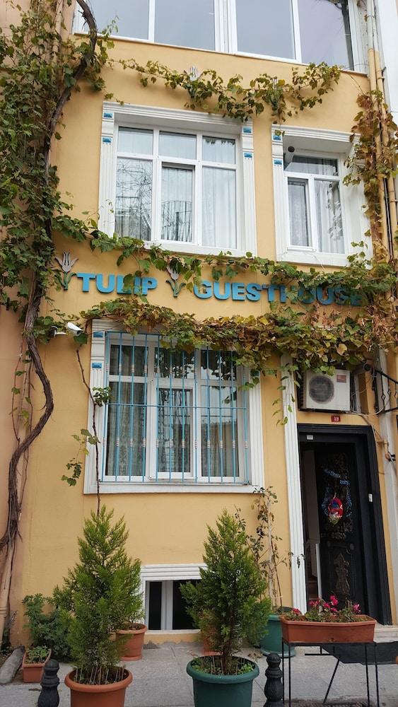 Tulip Guesthouse