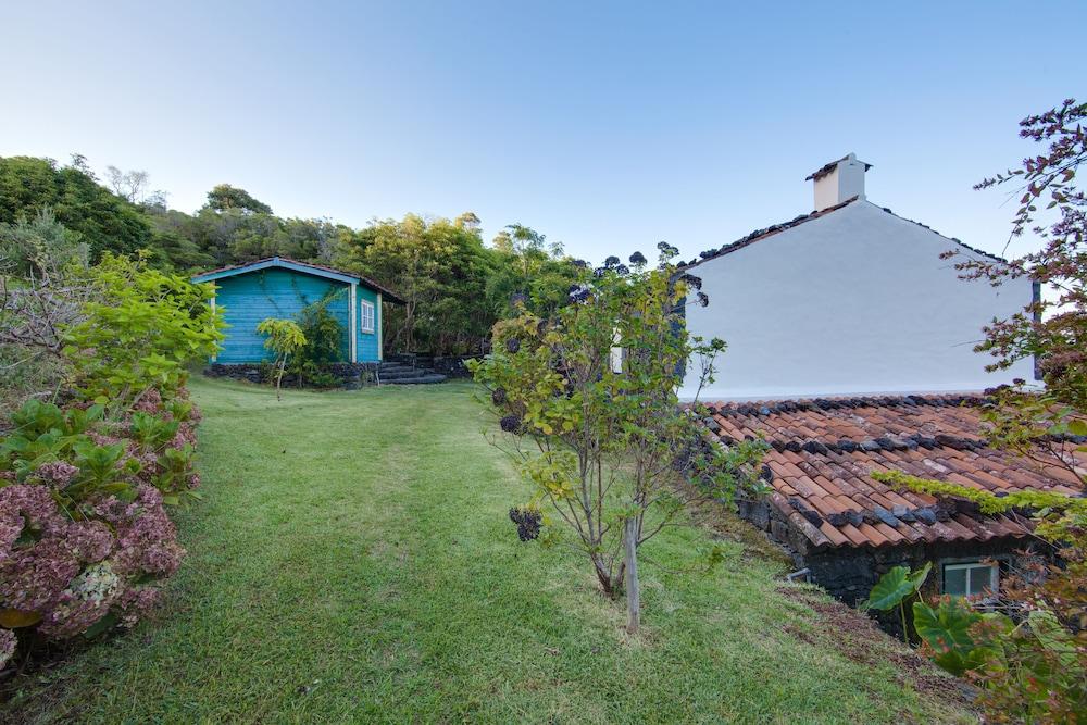 Houses In Pico