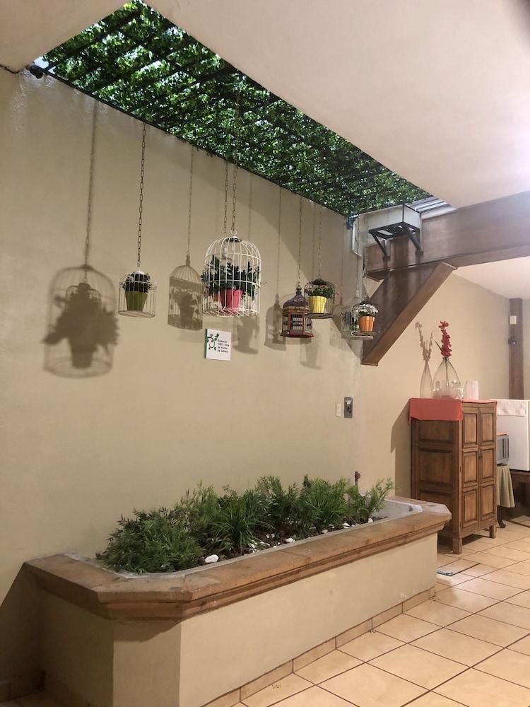 La Casa del Laurel