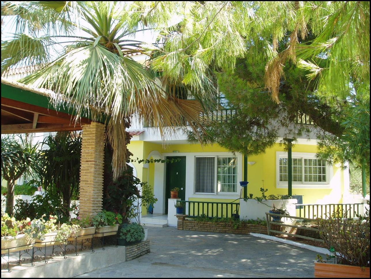 Lemon Garden