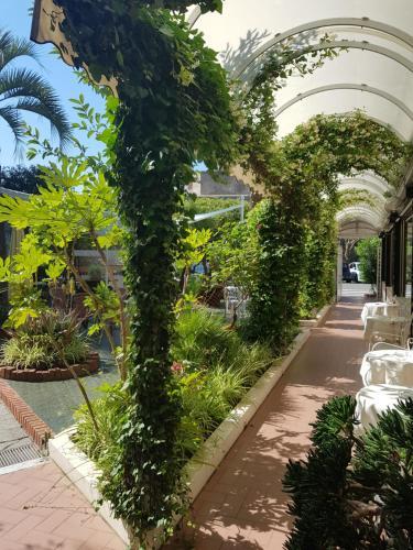 Park Hotel Castello