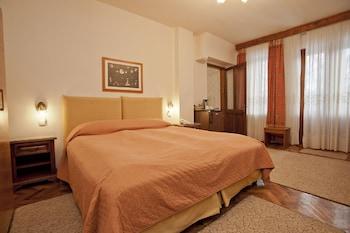 Vila Camelia