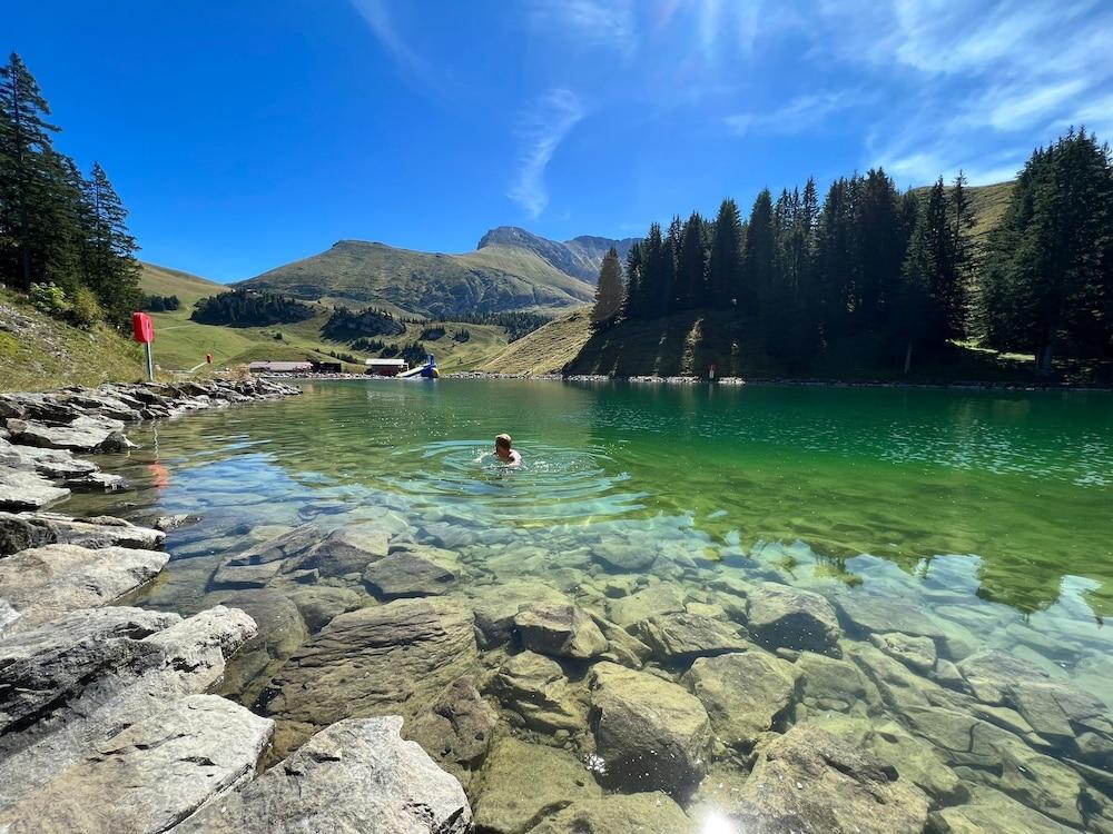Apart Hotel Adelboden