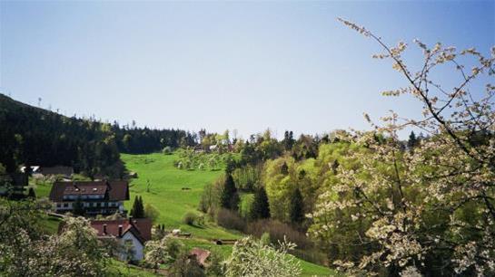 Hohenhotel-Restaurant Kalikutt