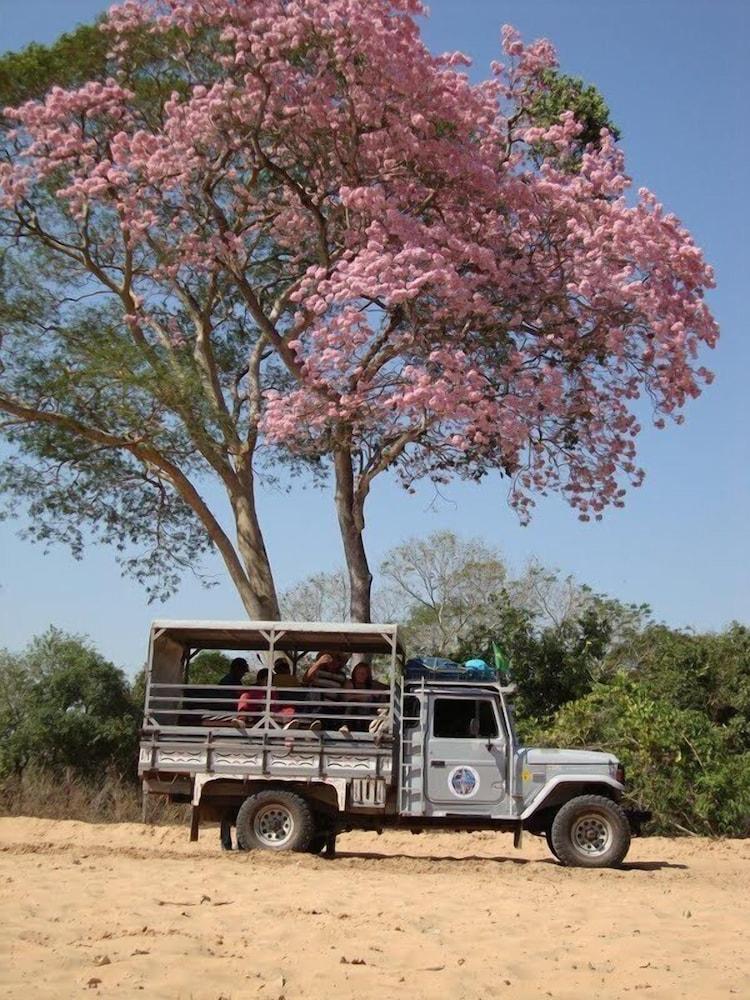 Fazenda 4 Cantos