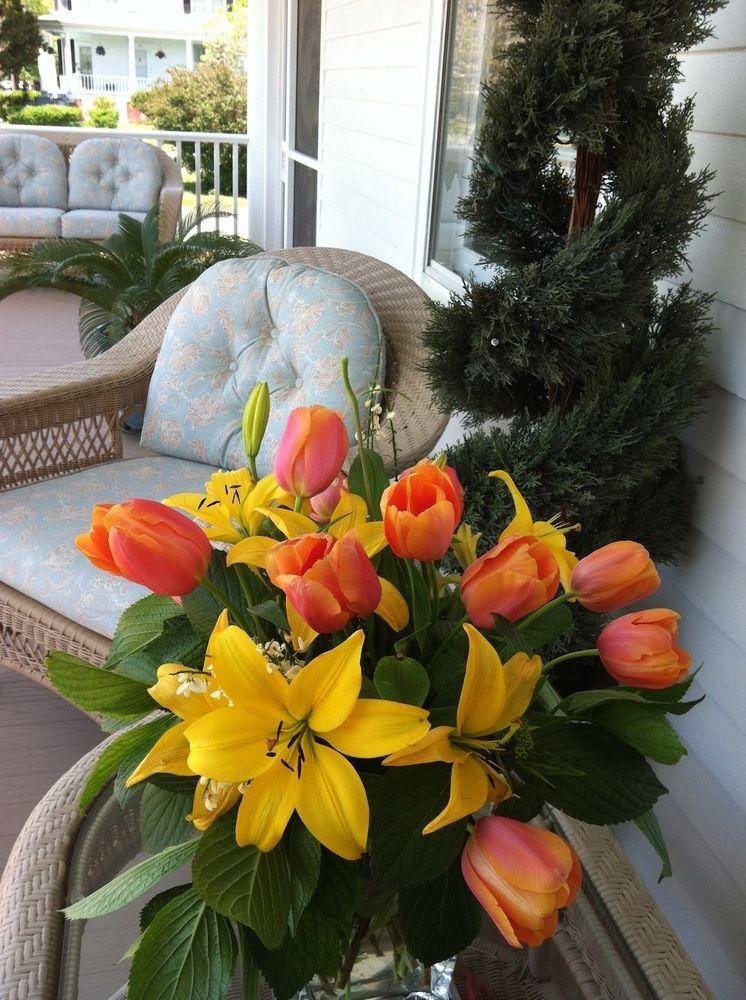 Bay Haven Inn of Cape Charles